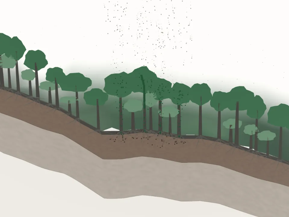 Karbon: penampang hutan dengan karbon di daun, batang, akar, dan tanah, dari model tiga dimensi Batukaru